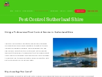 Pest Control Sutherland Shire - Bugz Pest Control