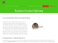 Rodent Control Sydney - Bugz Pest Control