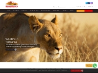 Tanzania Safaris – Authentic safaris in Tanzania