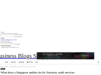 What does a Singapore auditor do for Statutory audit services - Busine