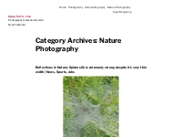 Nature Photography   bwuphoto.com