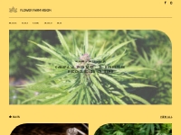 Flower Farm Vision: cannabis, cbd e novità