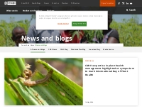 News and blogs - CABI.org