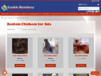 Bantam Chickens For Sale | Cackle Hatchery