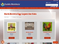 Dark Brown Chocolate Egg Chickens - Baby Chicks For Sale | Cackle Hatc