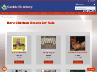 Rare Chicken Breeds For Sale - Baby Chicks | Cackle Hatchery