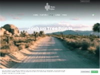 Joshua Tree Prints | Cactus   Lime