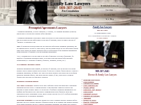 Prenuptial Agreements   Prenups | Family Law Lawyers