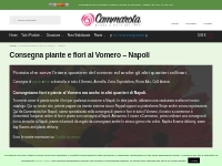 Consegna di piante e fiori in tutto il Vomero Consegna Fiori a Napoli