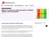 What is Lumens and how does it effect indoor plant growth?