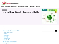 How to Grow Weed - Beginners Guide To Growing Cannabis 2024