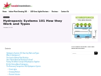 Hydroponic Systems 101 How they Work and Types