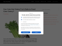 Can Cat Eat - The Ultimate Cat Food Resources