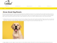 Know About Dog Breeds   Caninkart