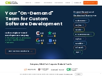  Software Development Company | Capital Numbers
