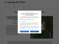 Your Complete Guide to Taking Care of Pets