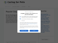 Caring for Dog Breeds - Popularly Owned   Most Available at Shelters