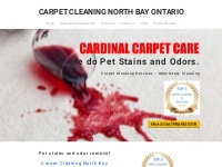 Pet Stain   Odor Removal - Carpet Cleaning NORTH BAY Ontario