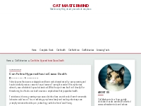 Can Feline Hyperesthesia Cause Death   Cat Mastermind