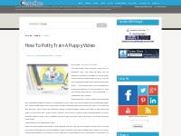 How To Potty Train A Puppy Video - Cerdas Share