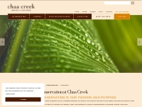          Conservation | Responsible Tourism Practices at Chaa Creek