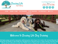 Dog Trainers Round Rock | Dog Trainers | Chasing Life Dog Training (73