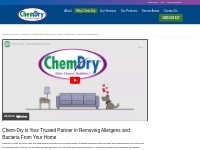 Allergen Removal for Carpets and Upholstery | Chem-Dry