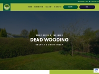 Tree Dead Wooding Services in Macclesfield Cheshire | Cheshire Tree Fe