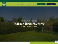 Tree   Hedge Pruning in Macclesfield Cheshire | Cheshire Tree Felling