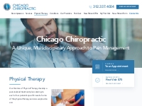 Physical Therapy - Chiropractor in Chicago
