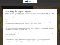 Case Study for Mega Company - Chicago Web Management - Website Develop