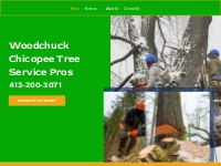            Tree Service Company in Chicopee MA