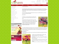 About ChinaFlower214 - China Flower Delivery Shop