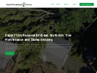 Chip Off The Old Block Brisbane Southside - Tree removal