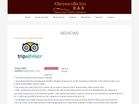 REVIEWS - Chrysocolla