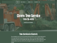       Tree Service Cicero IL | Tree Care   Tree Removal