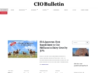 Best Business Magazines and News Online - CIO Bulletin
