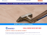 Carpet Steam Cleaning Sydney | Best Price   Guaranteed Results