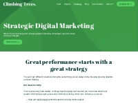 Strategic Digital Marketing // Climbing Trees, Essex