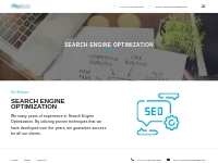 Search Engine Optimization - Let us connect your business to the web