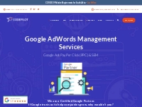 Get Google AdWords Management By Professionals For Less