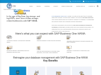 SAP Business One HANA | SAP Hana Software