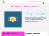 SMS Marketing - colourweb