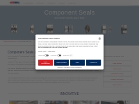 AESSEAL Component Seal Division