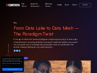                   From Data Lake to Data Mesh - The Paradigm Twist