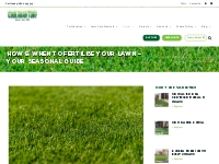 Lawn Care   Maintenance Guide | Coolabah TurfSeasonal Guide To Lawn Fe