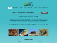 County Pest Control - Birmingham - Pest Control