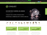Conquest Pest Control London | 24 Hour Emergency Pest Control in Londo