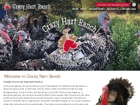  			Welcome to Crazy Hart Ranch