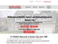 Cridder Ridder- Kansas City Wildlife Control   Animal Removal